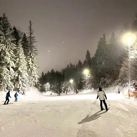 Srebrena Lisica - Babin Do - Free Garage -ski To Door- Apartman *